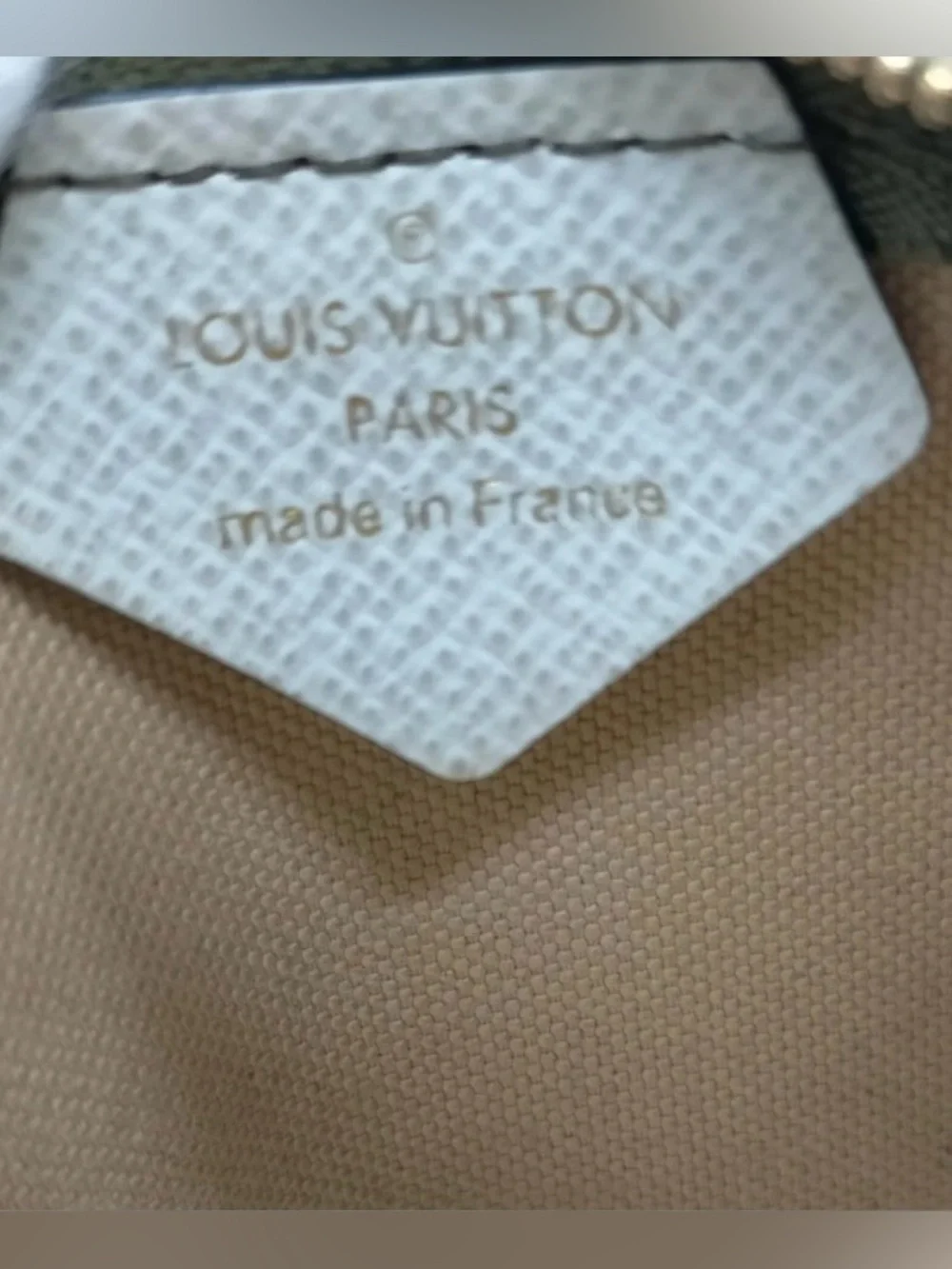 ✨🛍️ Louis Vuitton Monogram Giant Micro Pochette Accessories Green/Beige